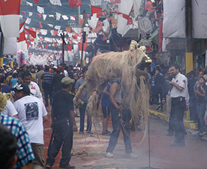 Photo: Mystic animal with long tail that got wrapped arouind dad's legs
