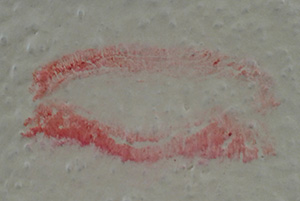 Photo: My tia's lips on the wall
