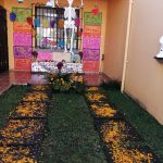 Path of flowers leading to Day of the Dead altar