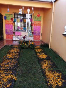 Path of flowers leading to Day of the Dead altar