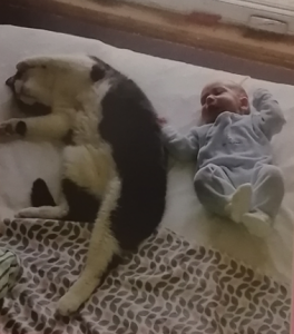 Bobby and Victor in bed.