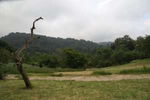 Photo: View from our future home