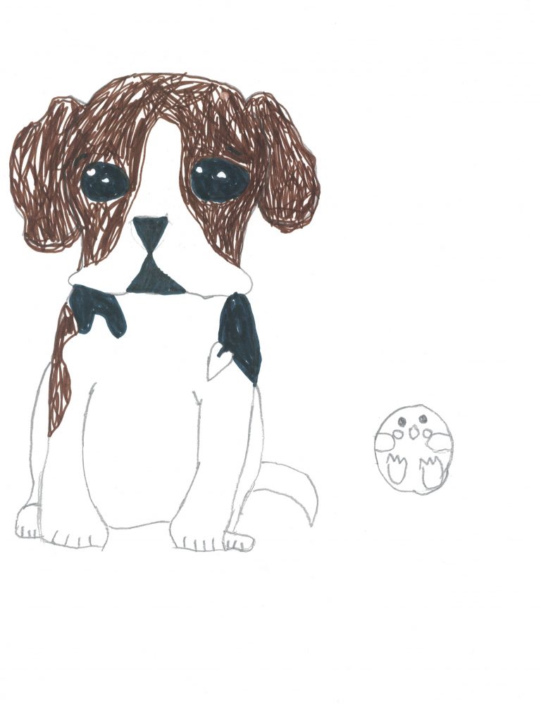 Another dog, and two years, coming up on three, in retirement