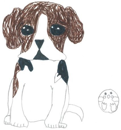 Sabi, the third dog